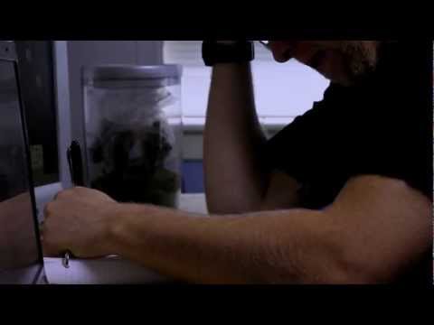 G.P. Butterfield - Tumbling Down