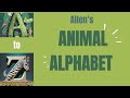 Allen S Animal Alphabet Song With Pics