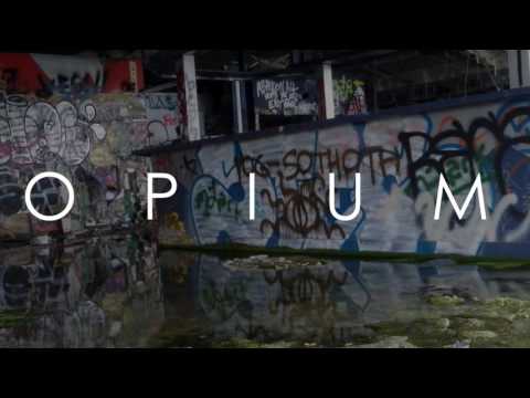 Cellardore X Mind of a Dragon - Freedom