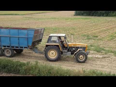 Akcja kukurydza 2018 w Brzysko - Rol część 1