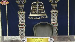 בית המדרש "תורת דוד" ¤ לעילוי נשמת ישי בן נועה ז"ל ¤ ג' אלול תשפ"ה (27.8.2024) (מוסדות תורת דוד) - התמונה מוצגת ישירות מתוך אתר האינטרנט יוטיוב. זכויות היוצרים בתמונה שייכות ליוצרה. קישור קרדיט למקור התוכן נמצא בתוך דף הסרטון