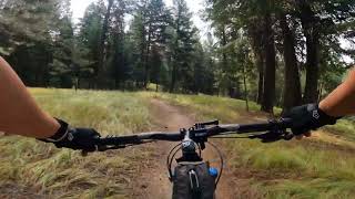 North Elk Trail | Jug Mountain | Idaho.