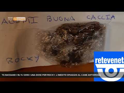TG BASSANO | 19/11/2019 | UNA DOSE PER ROCKY, L'INEDITO OMAGGIO AL CANE ANTIDROGA