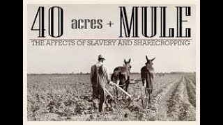 The hidden-Truth Behind ’40 Acres and a Mule’