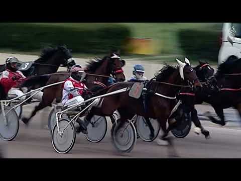 Aversa trotto 21 Gennaio 2023 - 5° Corsa