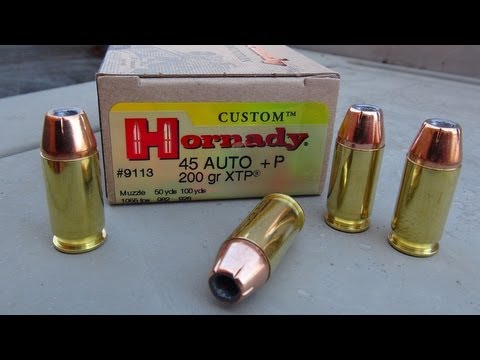 INSANE AMMO!! 45-70 Hornady LeverEvolution 250gr Monoflex Ammo Test