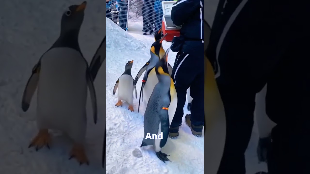 YouTube Short thumbnail