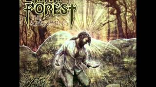 Dark Forest - Sacred Signs