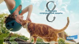 Форесто Ошейник для кошек