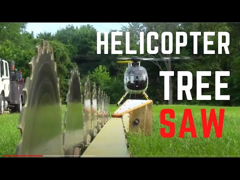 Helicopter Tree Sawing In The MD 500