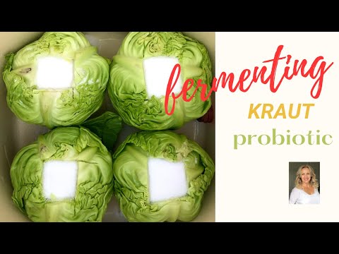 FERMENTING KRAUT - HOW TO MAKE HOMEMADE PROBIOTIC