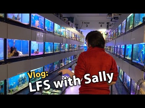 Vlog: Shopping for Sally's 8g Reef Tank (11/19/2016)