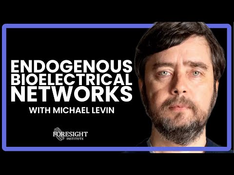 Michael Levin | Endogenous Bioelectrical Networks: An Interface to Regenerative Medicine