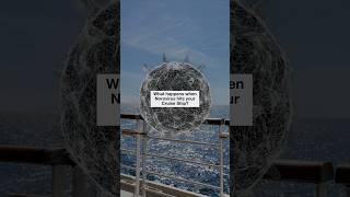 Norovirus on a Cruise Ship? What Happened on My P&O Arcadia Cruise 😷🛳