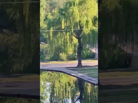 Disfrutando un día comun en Mina Clavero 
