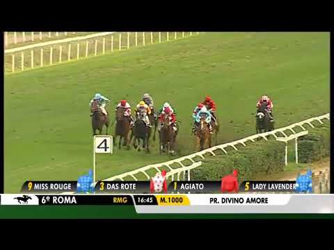 2019.11.03 Premio Requinto Divino Amore (ITA) - Lorelei Rock