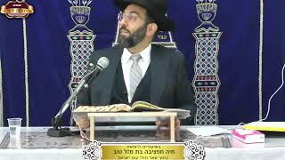 בית המדרש "תורת דוד" ¤ שידור חי ¤ כ"ה כסלו תשפ"ו (15.12.2025) (מוסדות תורת דוד) - התמונה מוצגת ישירות מתוך אתר האינטרנט יוטיוב. זכויות היוצרים בתמונה שייכות ליוצרה. קישור קרדיט למקור התוכן נמצא בתוך דף הסרטון