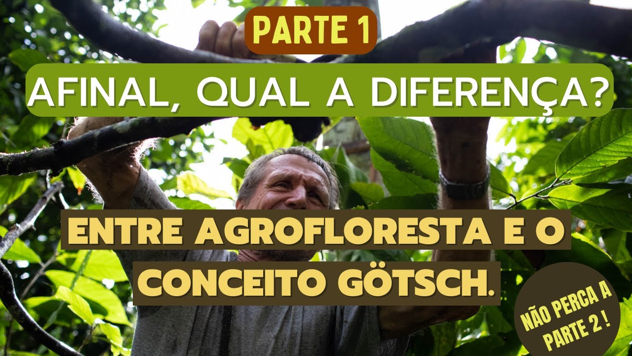Afinal, qual a diferença entre agrofloresta e o conceito Götsch ? PARTE 1
