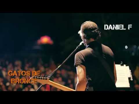 DANIEL F - GATOS DE BRONCE