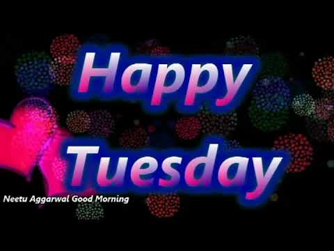 ६Good Morning Happy Tuesday Status,Good Morning Wishes,Happy Tuesday Greeting,Morning Whatsapp Video