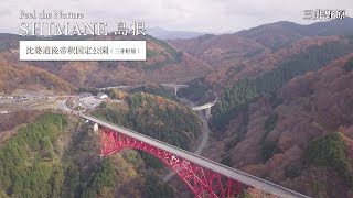 视频缩略图