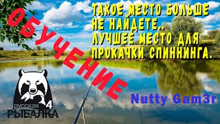 Ловля карпа на ладожском озере