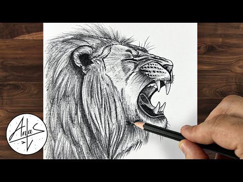 How To Draw A LION | Realistic Drawing | Step-by-Step Tutorial