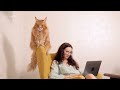 Відео undefined від користувача Леонид Великосвят Відео undefined від користувача Леонид Великосвят