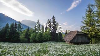 LOWER PLENTY - BONDI'S DEAD