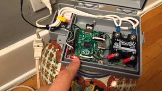 Raspberry Pi + Solid State Relay = Christmas light control!