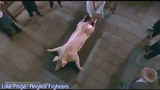 Best Scene of Kung Fu Chefs...war