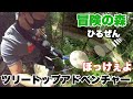 【絶叫】森のアスレチック冒険の森は想像を越えてた!!