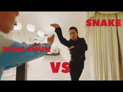 WING CHUN MASTER VS SNAKE KUNG FU  / TAN SHOU BLOCK SNAKE STRIKE / 咏春对蛇拳