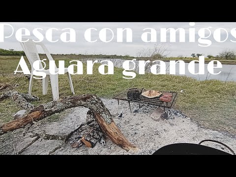 Pesca con amigos (aguara grande)