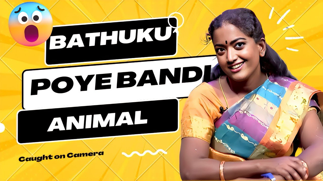 Animal Telugu trolls TELUGU comedy videos #telugumemes starmaa #rashmikamandanna #ranbirkapoor