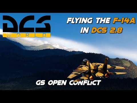 The F-14A Experience in Multiplayer | DCS World