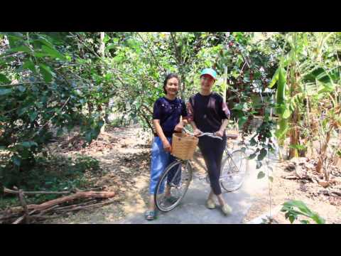 Agriculture Canal & Mount Life - Cycling - Picnic in Nature