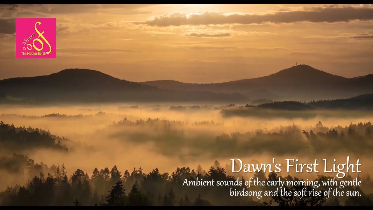 🌅 Dawn's First Light 🌅 | Ambient/Healing MTV 528Hz: Peaceful, Healing, Reflective #528hz #solfeggio