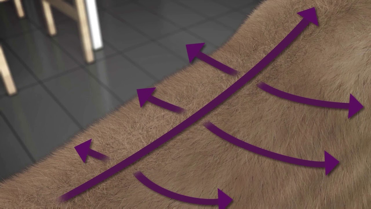 VECTRA 3D alkalmazása