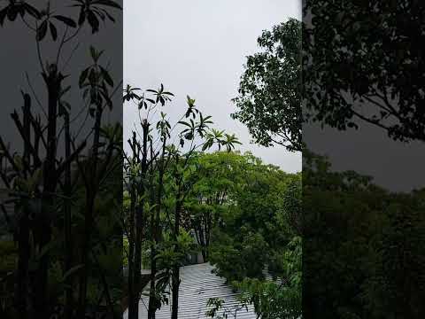 SABADO DE CHUVA 🌧️ 🌧️ 🌧️ EM SÃO PAULO staque ao vivo