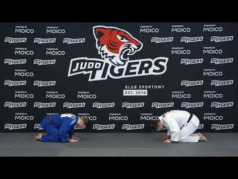Judo Tigers - Egzamin na 3 kyu (zielony pas)