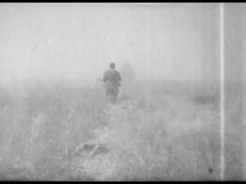 18 february 1945 WW2  . Eastern front  : Germans  on the rebound at the river oder