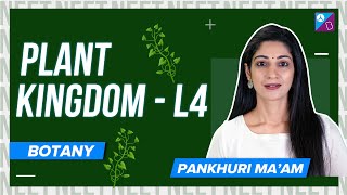 Rhodophyceae - Plant Kingdom Class 11 Biology Concept Explained | NEET 2024 Exam