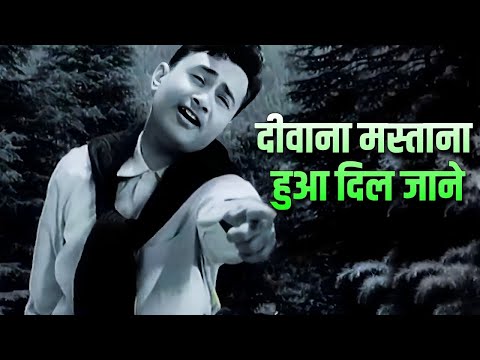 दीवाना मस्ताना हुआ दिल जाने 4K Mohammed Rafi, Asha Bhosle | Dev Anand, Suchitra Sen | Bombai Ka Babu