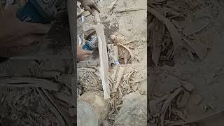 Download lagu MEMBUAT GAGANG GOLOK DAN SARUNGNYA #shorts #caramembuat #gaganggolok mp3