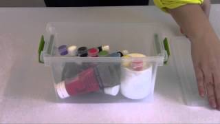 Sterilite Medium Clip Box