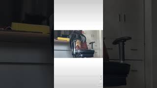 そのまま会社に連れて行くぞ😅 미어캣(meerkat)#shorts
