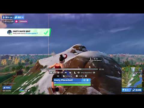 Fortnite  2025 06 04  19 19 52