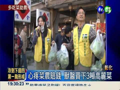 菜價慘跌 獸醫買3噸高麗菜大方送