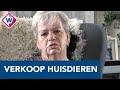 Dierenartsen willen dat Marktplaats stopt met verkoop van huisdieren - OMROEP WEST